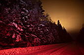 Straße im Wald in der Winternacht