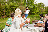 Family having picnic on grass