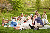 Family having picnic on grass