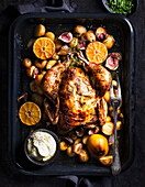 Roasted chicken in baking tray