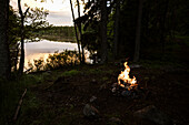 Campfire in forest by lake