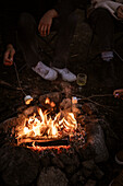 Freunde rösten Marshmallows über dem Lagerfeuer