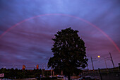 Rainbow over large tree at dusk