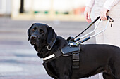 Woman with assistance dog