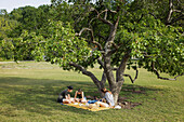 Mother having picnic with children