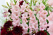 Dekorative Sommermischung mit Gladiolen, Dahlien und Lilien