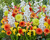 Sommerblumenmischung aus Gladiolen (Gladiolus), Dahlien (Dahlia) und Calla (Zantedeschia)