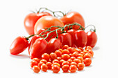 Verschiedene Tomatensorten vor hellem Hintergrund
