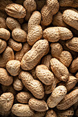 Peanuts (full picture, close-up)
