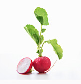 Radish with leaves