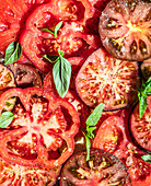 Tomatenscheiben mit frischem Basilikum (Bildfüllend)