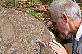 Scientist identifying lichen on rocks