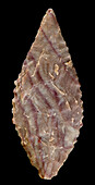 Neolithic stone tool