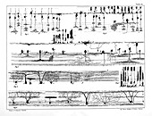 Nerve structures of the retina, 1894 illustration