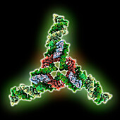 Self-assembling tensegrity DNA-triangle, molecular model