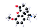 Hydrocodone, molecular model