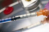 Syringe filled with medication, conceptual image