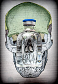 Vials on a skull, conceptual image