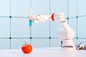 Robotic arm holding tomato