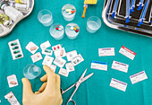 Nurse preparing hospital medication, conceptual image