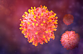 Respiratory syncytial virus particles,