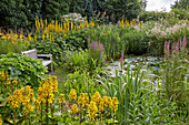 Perennial garden with a small pond, Germany