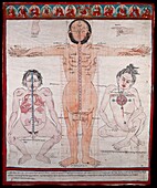 Tibetan anatomical figures, 17th century illustration