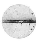 Discovery of the positron, 1932