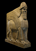 Assyrian human bearded winged lion.