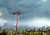 Tornado, illustration