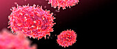 Mpox virus particles, illustration