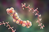 Hexaethylene glycol molecule, illustration