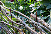 DIY fence made from branches and twigs