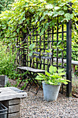 Airy trellis overgrown with vines as a garden room divider