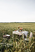 Gedeckter Tisch mit Kuchen und Blumenstrauß mitten im Feld