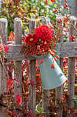 Herbststrauß aus Hagebutten und roten Dahlien in Kanne aufgehängt am Zaun