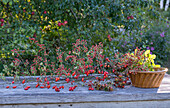 Autumn rose hip branches in nostalgic cake form