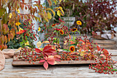 Autumn arrangement of sunflower, rosehip branches and wild vine
