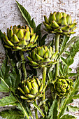 Artichokes on a wooden background