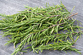 Harvested Rosemary Branches, Portrait