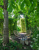 Idyllischer Sitzplatz unter Walnussbäumen vor Hainbuchenhecke im Garten