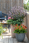 Sommerliche Kübelbepflanzung auf dem Balkon mit Strauchbasilikum 'African Blue', Sutera 'Big White', Echinacea, Zinnien und Geranie