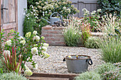 Miniteich auf sommerlicher Kies-Terrasse mit Segge 'Bicolor', Strauchhortensie 'Vanilla fraise', Prachtkerze, japanischem Blutgras 'Red Baron'