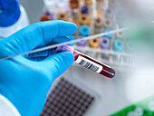 UK, Buckinghamshire, High Wycombe, Scientist holding hematology test vial