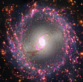 Galaxy NGC 3351, composite image
