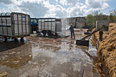 Farmer cleaning livestock trailer