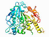 Notum carboxylesterase, illustration