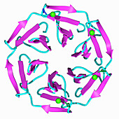 Computationally designed SAKe6AC protein, illustration