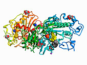 Autotaxin and tetrahydrocannabinol, illustration