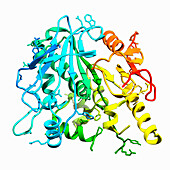 Notum carboxylesterase, illustration